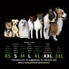 4db vízálló kutyacipő kistestű kutyáknak - Fekete - XS